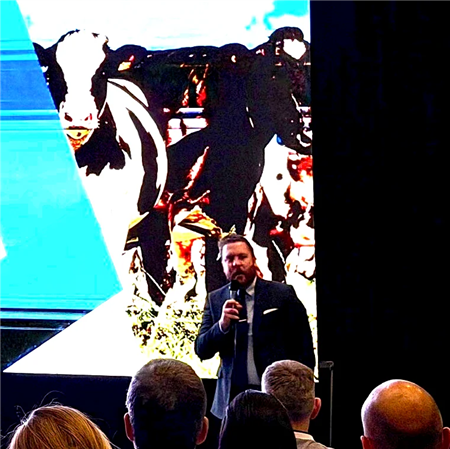 Global Market Outlook